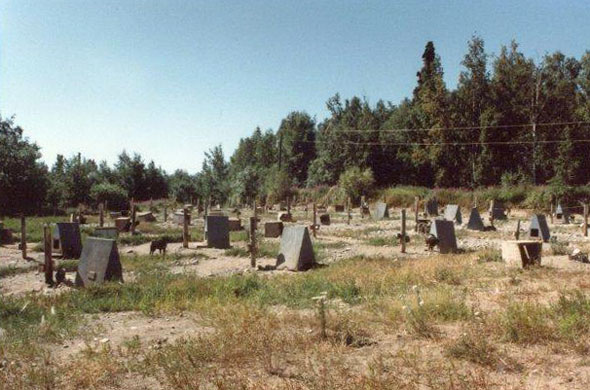 Triangular Shelters